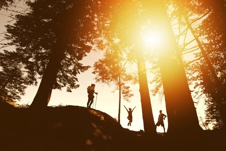 3 people hiking in the woods with the sun shining through